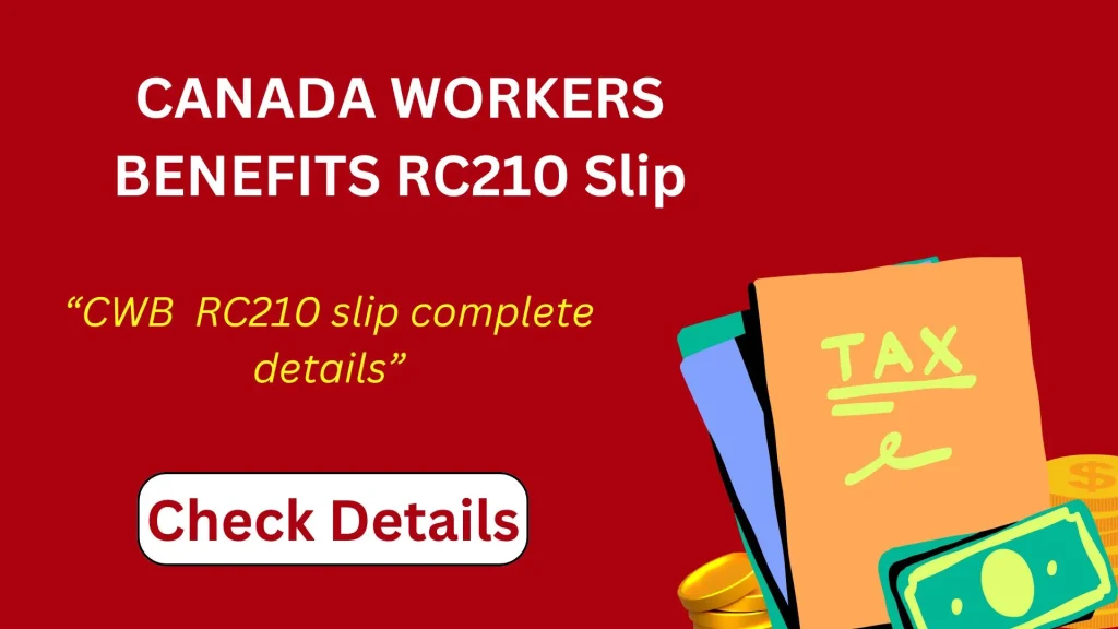 RC210 Slip