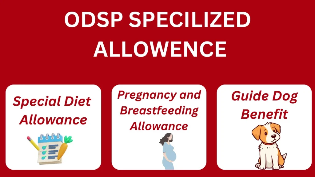 ODSP Specialized Allowances